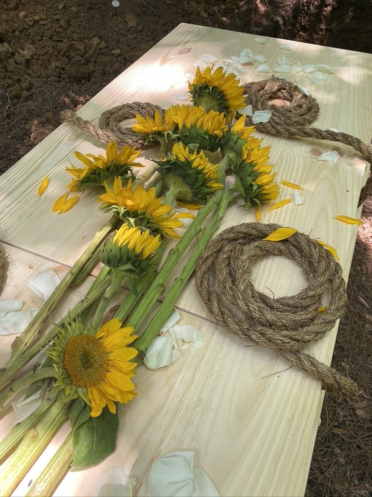  Sunflowers on plain pine casket 