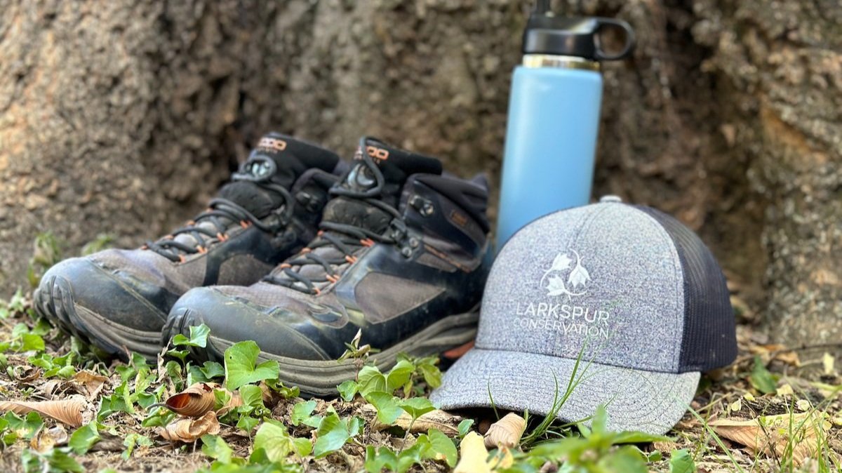 Larkspur branded hat, water bottle, and shoes in front of tree