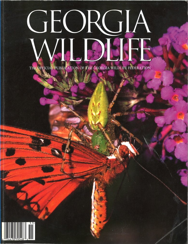  Georgia Wildlife Federation magazine cover with red dragonfly on purple flower and green bud. 