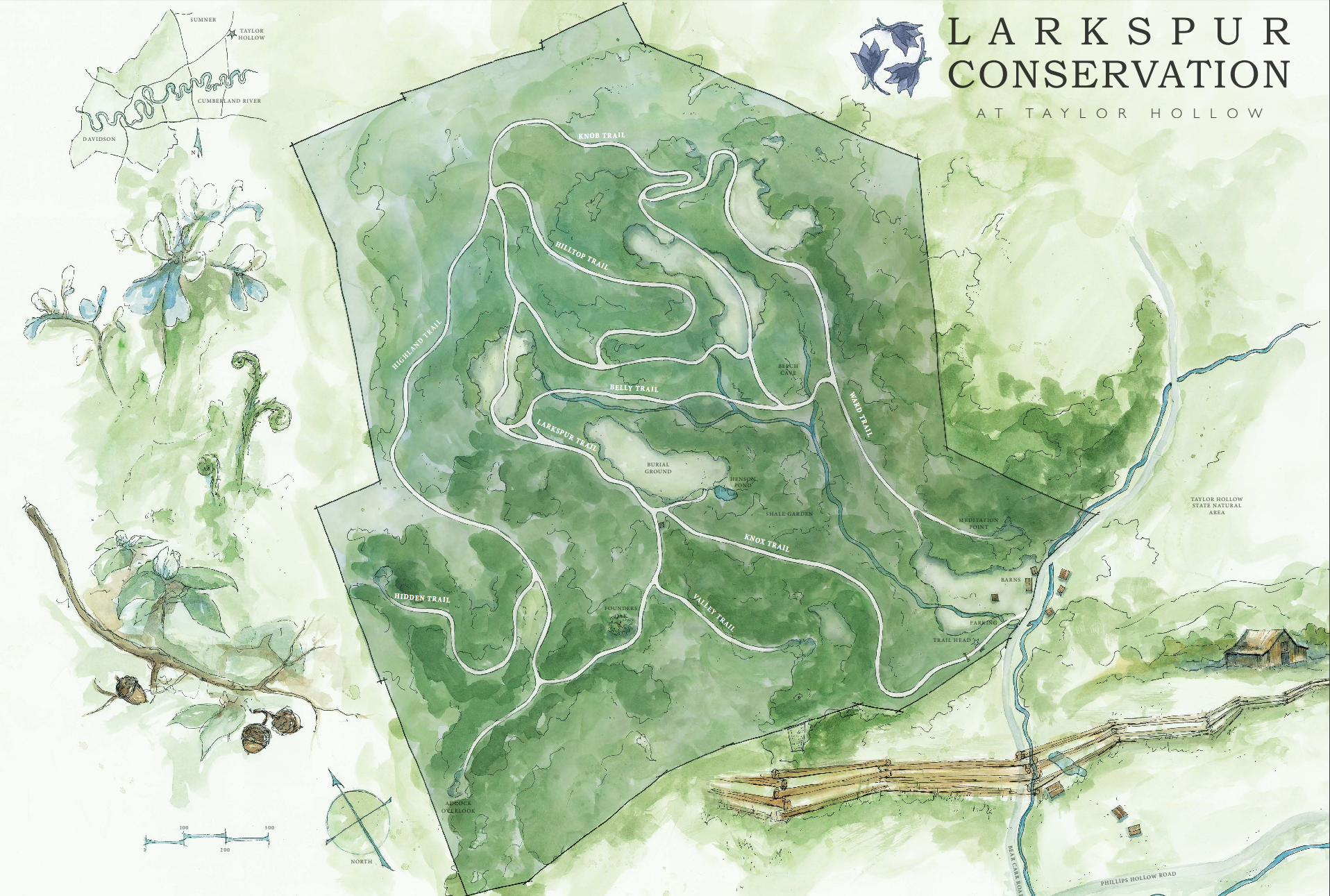 Detailed map of Larkspur’s Taylor Hollow preserve including terrain and hiking trails.