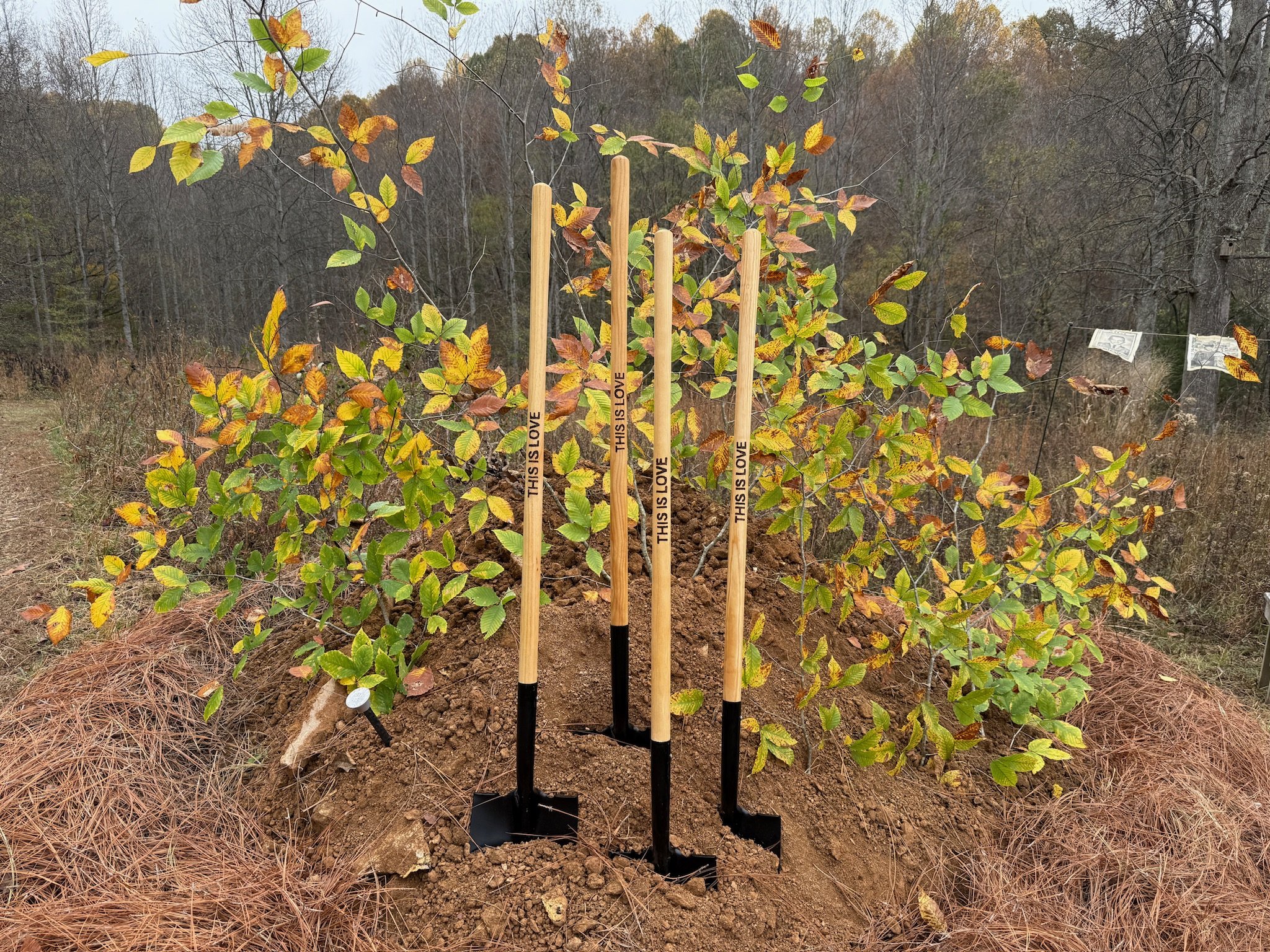  Families use shovels with the wood-burned words, “This is love” to bury the body of their loved on at Larkspur. 
