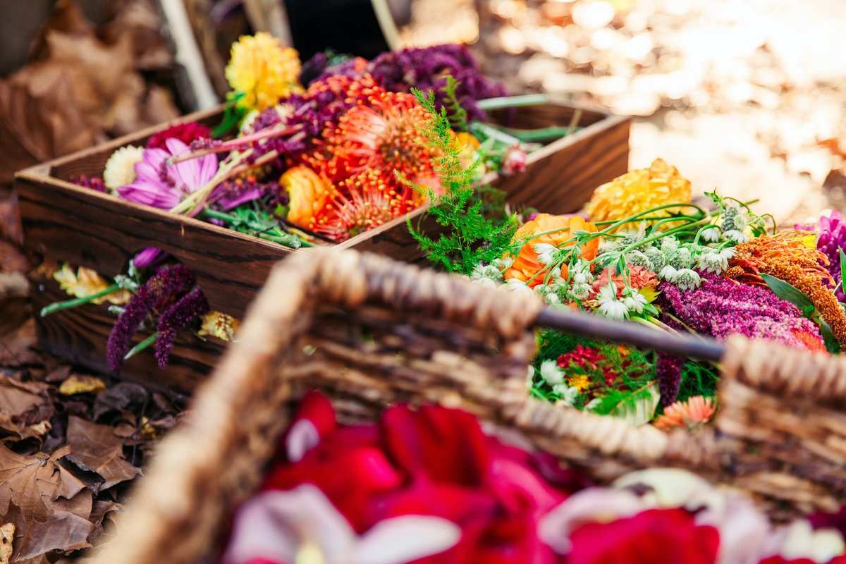 Cut flowers in basket