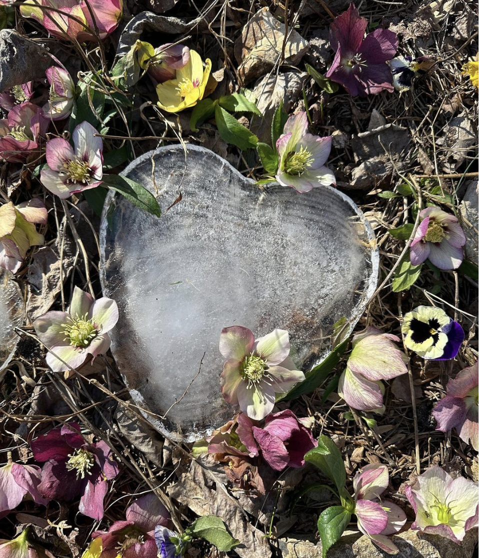  An ice sculpture heart handmade by a family and left on the grave of a loved one at Larkspur. 