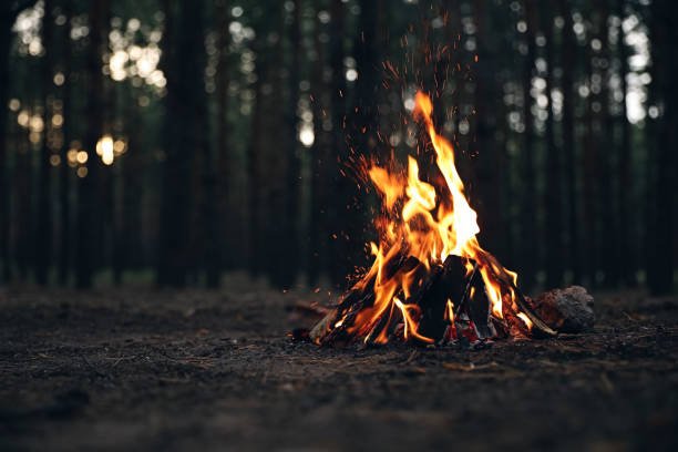 A fire blazes at sunset to celebrate Samhain, behind it looms a stand of trees.