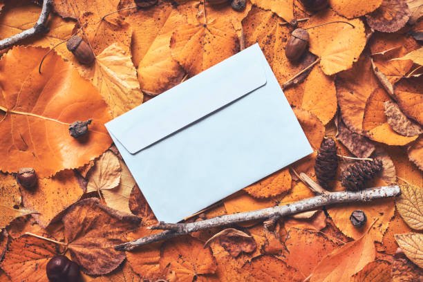 Writing a letter of gratitude, then reading out loud can be a new healing tradition to add to your Thanksgiving festivities.