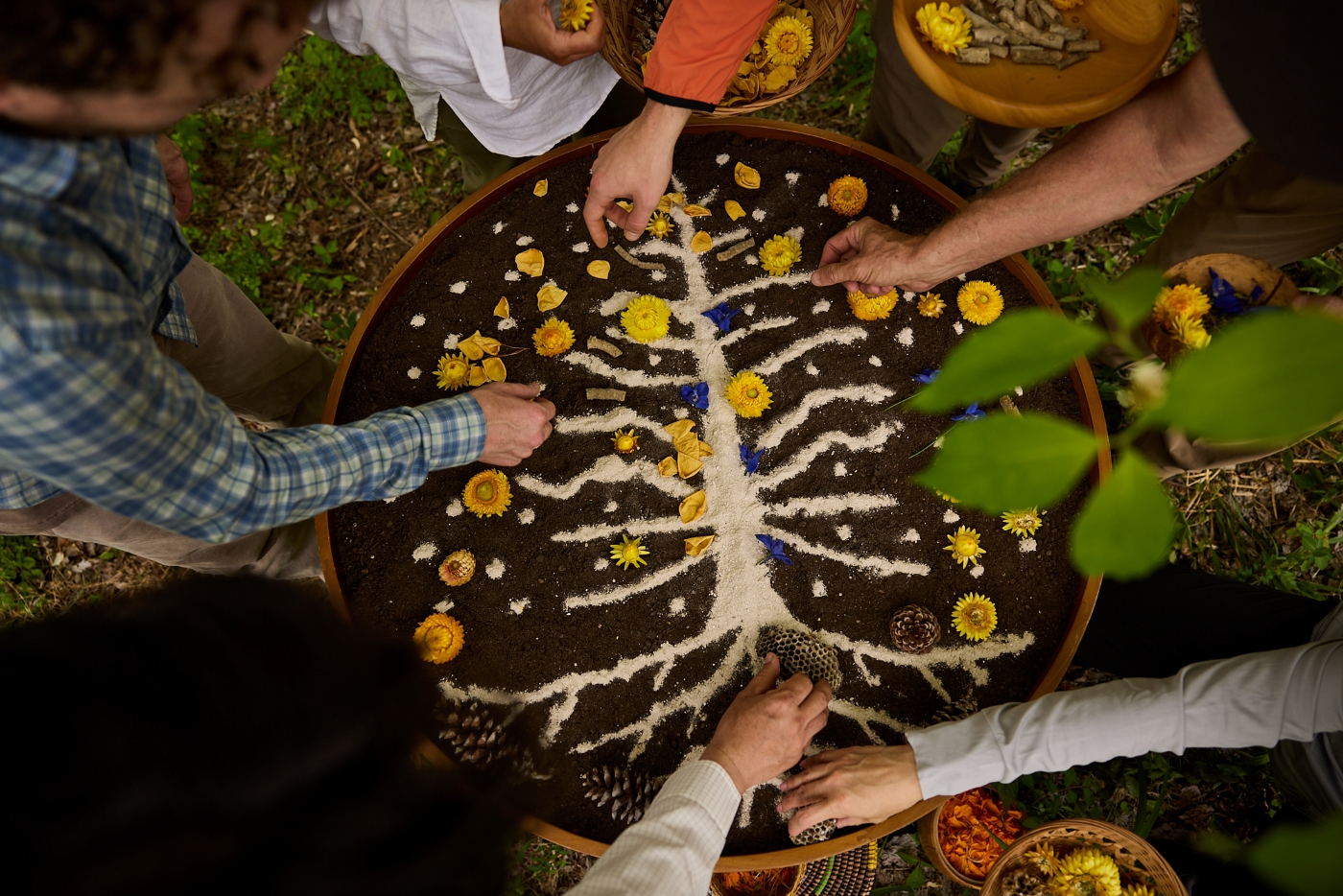 Cremated remains in the shape of a tree adorn a table top. Hands add flower petals and other natural materials to the table top.